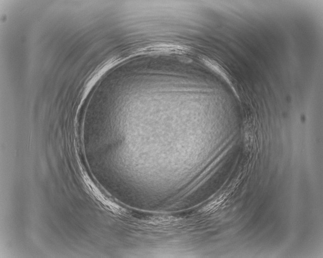 X0000053051091200507251417