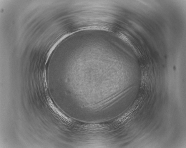 X0000053051092200507251417