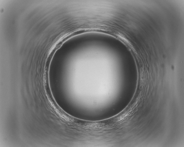 X0000053051093200507251417