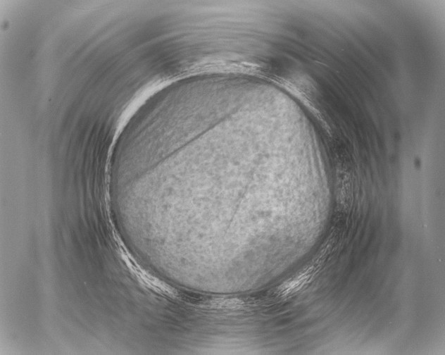 X0000053051094200507251417