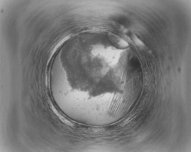 X0000053051095200507251417