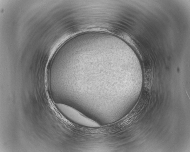 X0000053051096200507251417