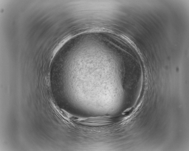 X0000053051097200507251417