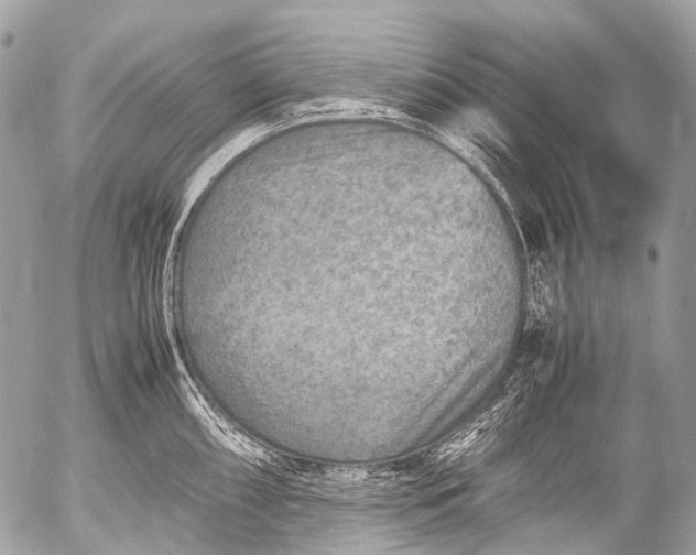 X0000053051098200507251416