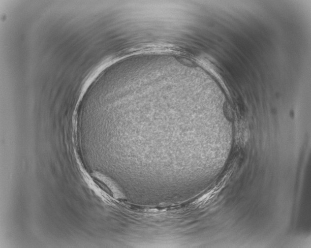 X0000053051099200507251416