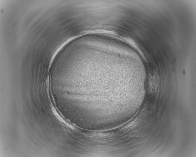 X0000053051100200507251416