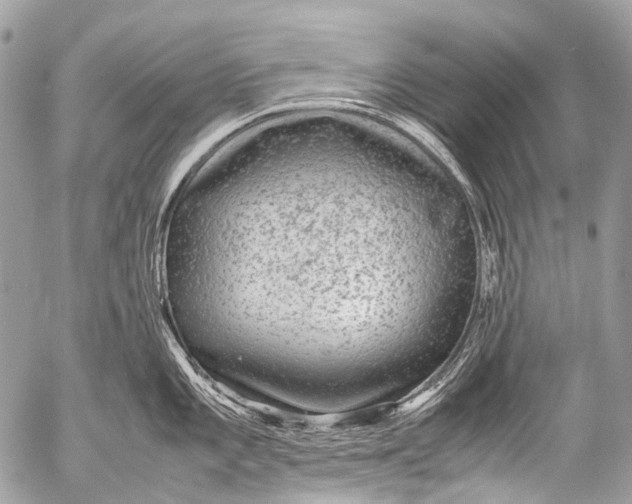 X0000053051101200507251416