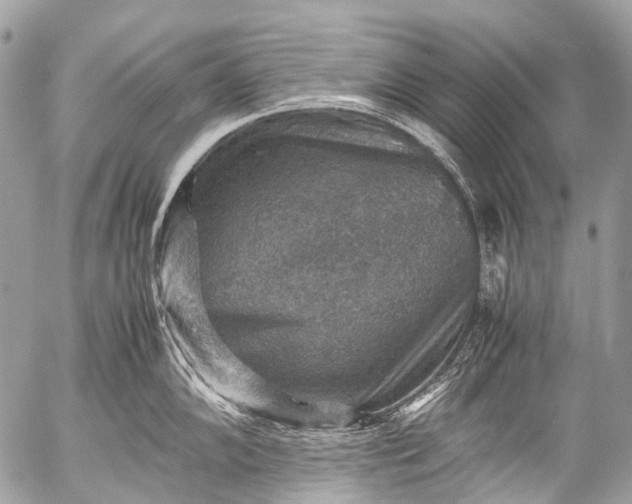 X0000053051102200507251416