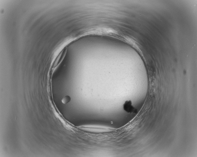 X0000053051103200507251416