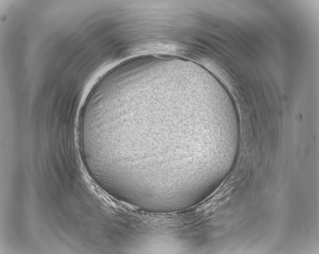 X0000053051104200507251416