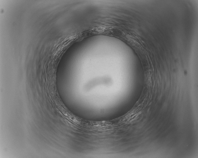 X0000053051105200507251416