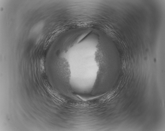 X0000053051106200507251416