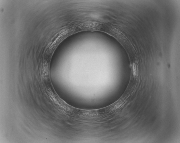 X0000053051107200507251416