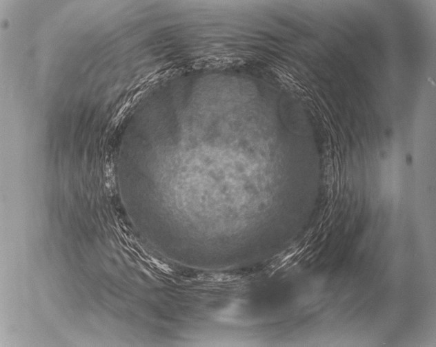 X0000053051109200507251416