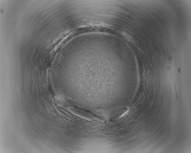 X0000053051110200507251416