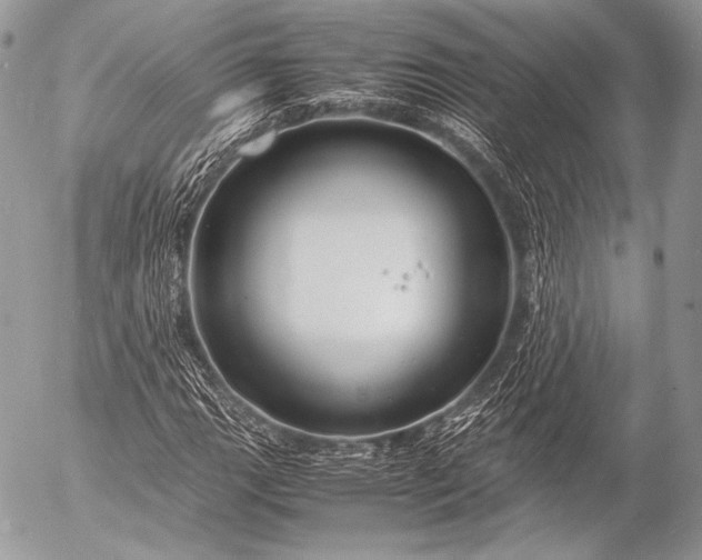 X0000053051111200507251416