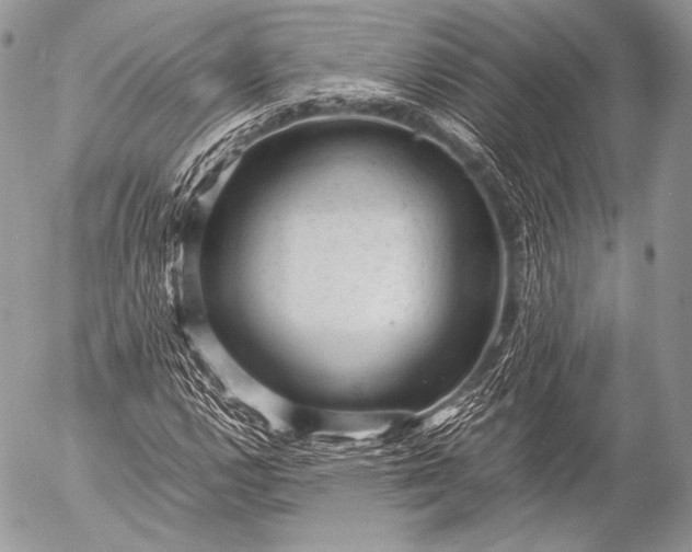 X0000053051112200507251416