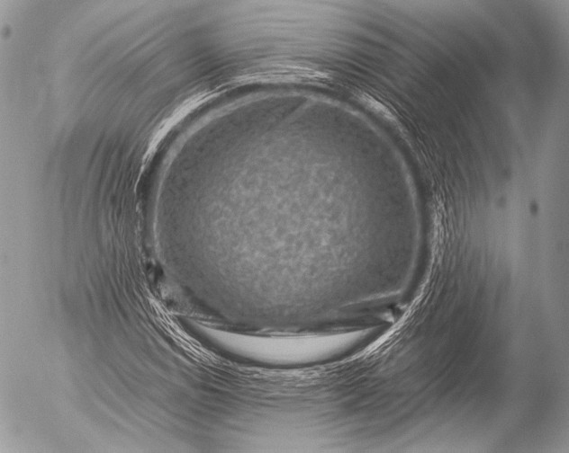 X0000053051114200507251416