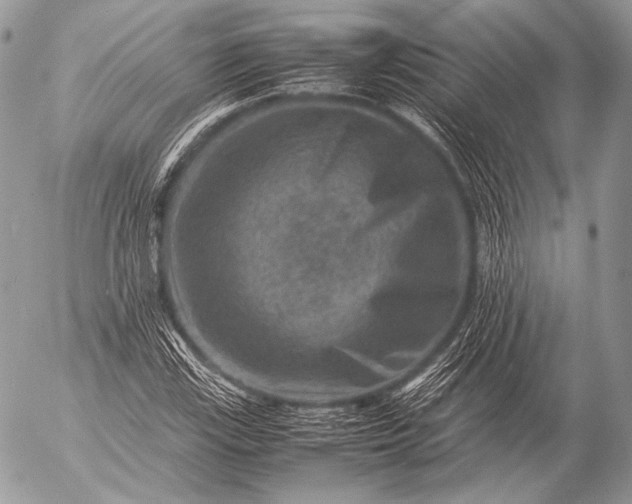 X0000053051115200507251416