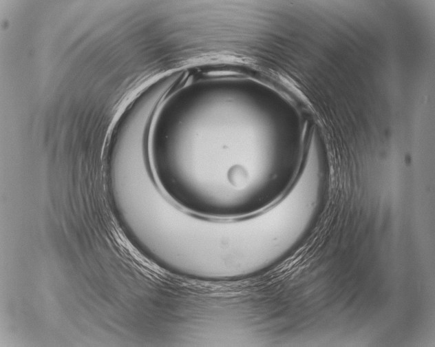 X0000053051116200507251416