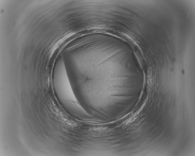 X0000053051117200507251416