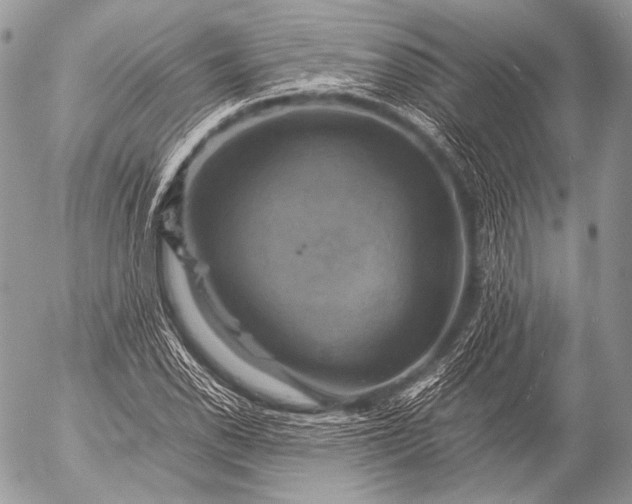 X0000053051118200507251416