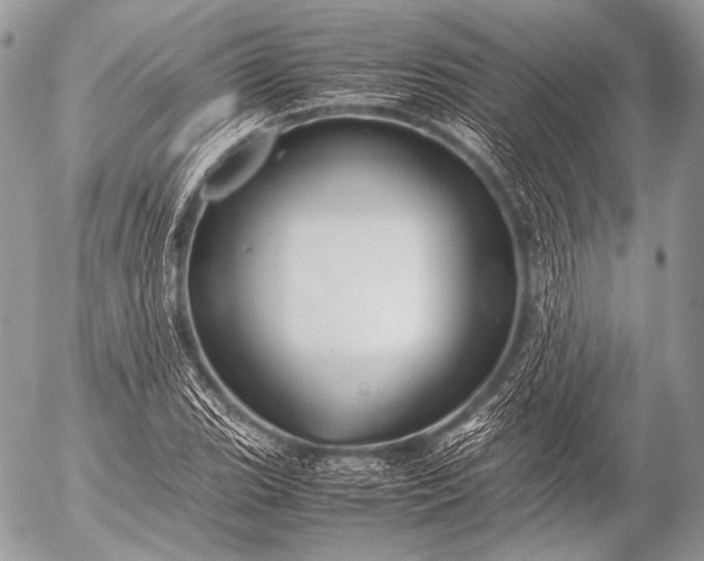 X0000053051119200507251416