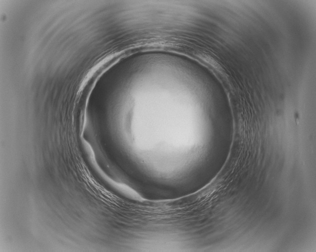 X0000053051120200507251416