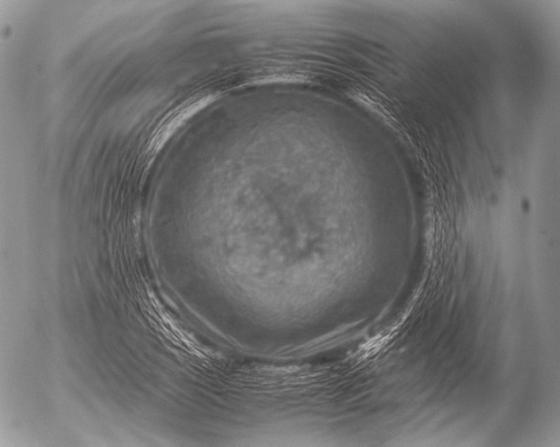 X0000053051121200507251416