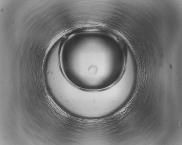 X0000053051122200507251416