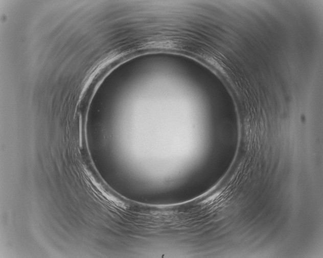 X0000053051123200507251416