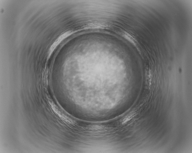 X0000053051124200507251416