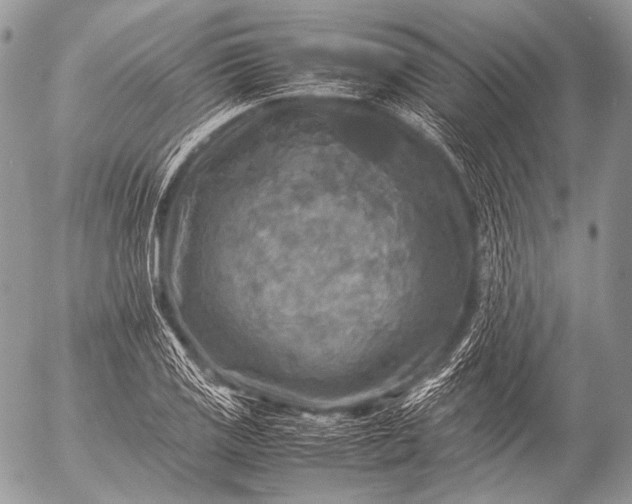 X0000053051125200507251416