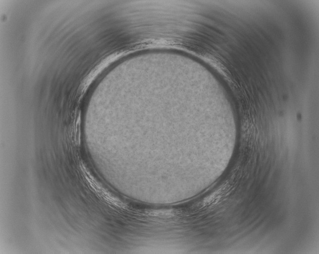 X0000053051126200507251416