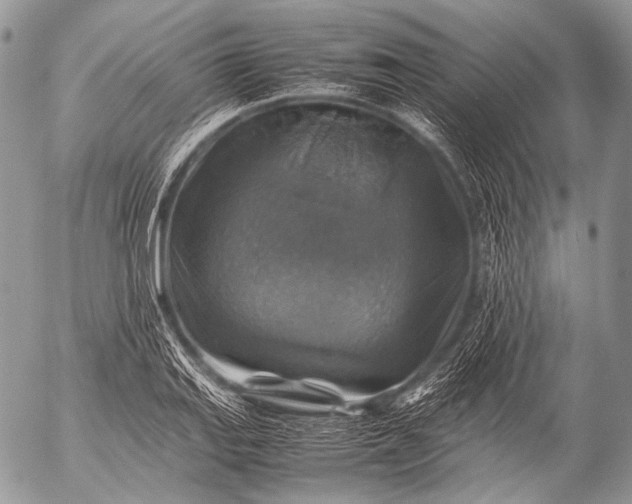 X0000053051127200507251416