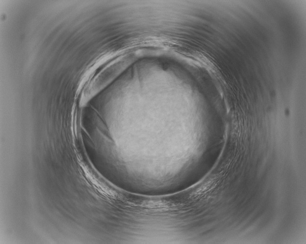 X0000053051128200507251416