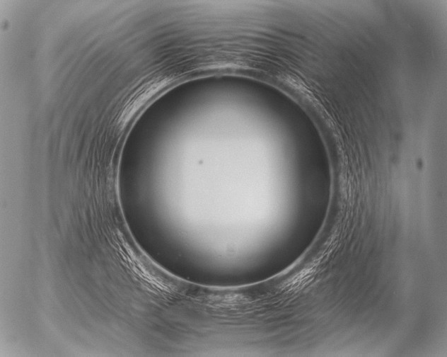 X0000053051129200507251416