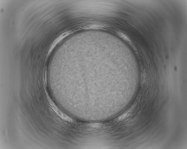 X0000053051130200507251416