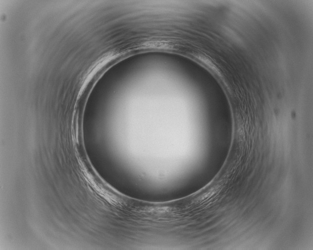 X0000053051131200507251416