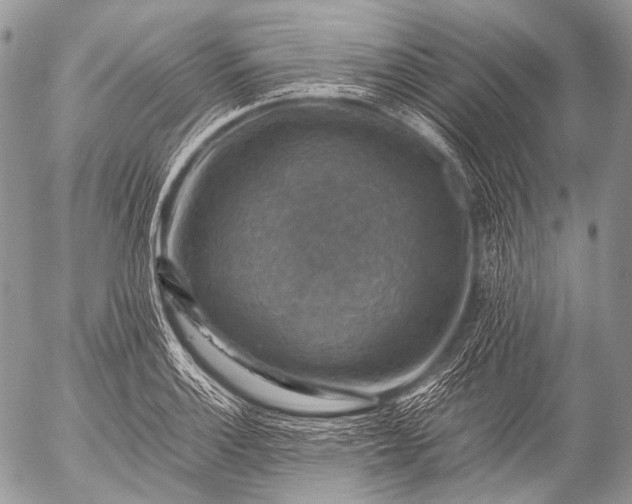 X0000053051132200507251416