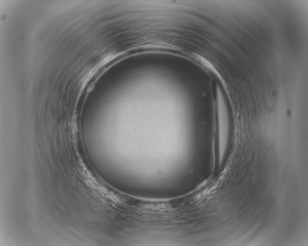 X0000053051133200507251416