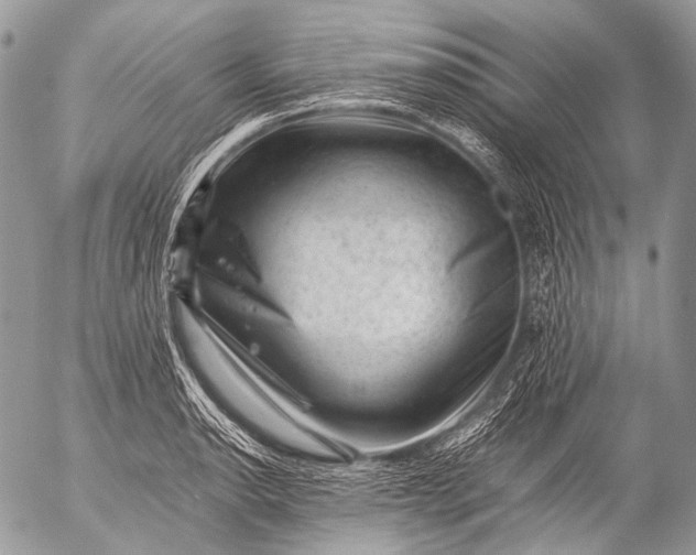 X0000053051134200507251416