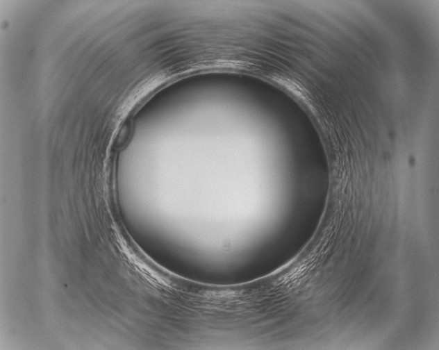 X0000053051135200507251416