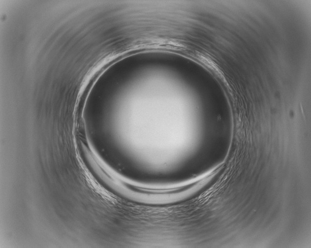 X0000053051136200507251416