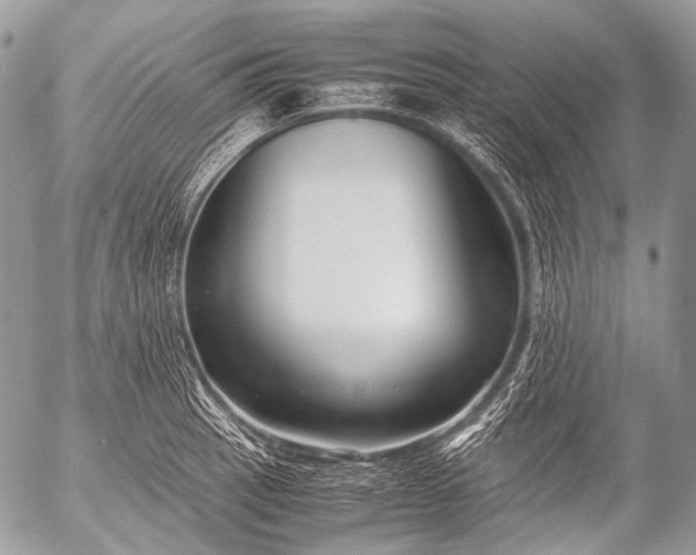 X0000053051137200507251416