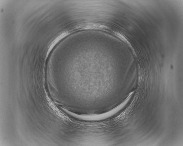 X0000053051138200507251416