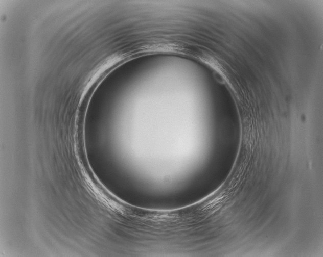 X0000053051139200507251416