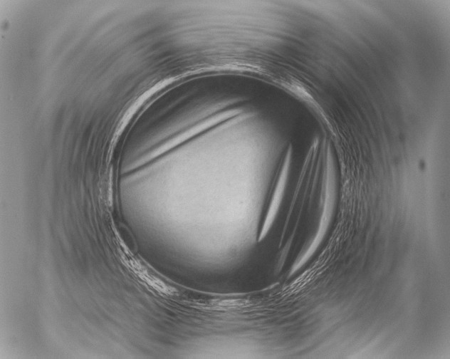 X0000053051140200507251416