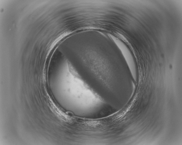 X0000053051141200507251416