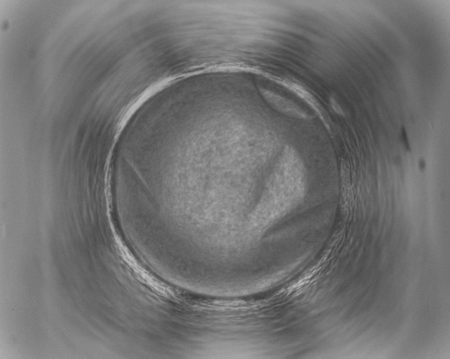 X0000053051142200507251416